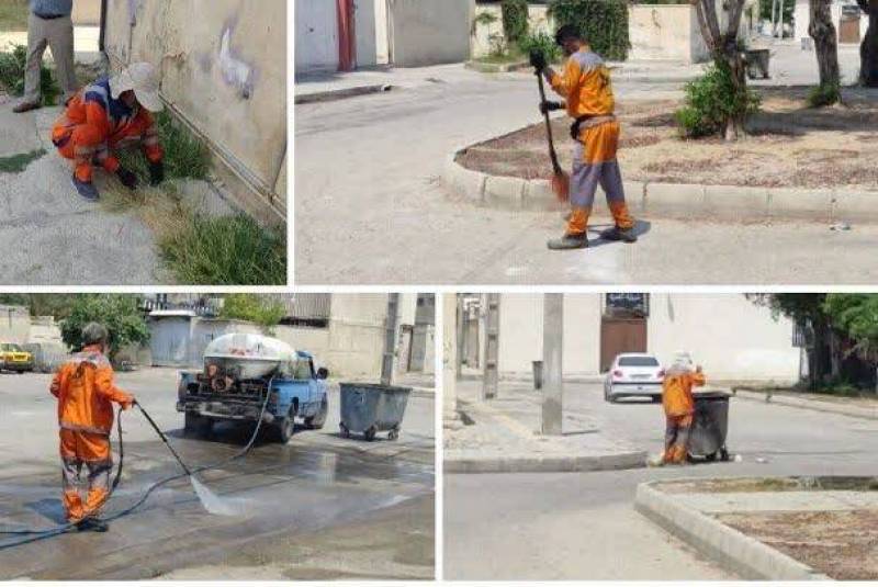 طرح پاکسازی محلات بوشهربرای مبارزه با پشه آئدس اجرا شد