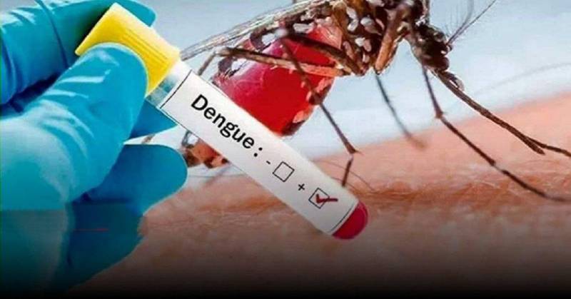 شناسایی ۲۰ بیمار مبتلا به تب دانگی