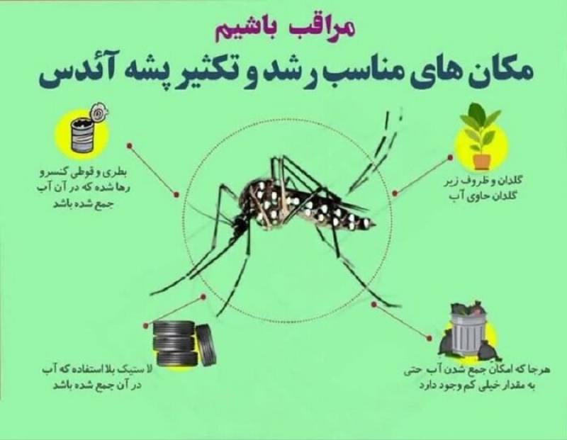 چهارمین شهرستان استان آلوده به پشه آئدس