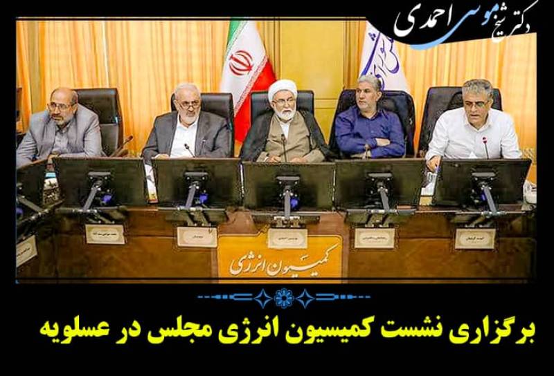 سفر اعضای کمیسیون انرژی مجلس به عسلویه